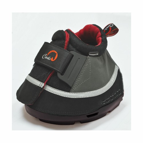 Cavallo transport air - transport, air<p>the