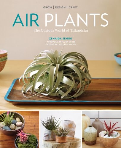 Air plants the curious - air,