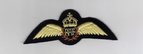 Royal air force pilots - royal, wings